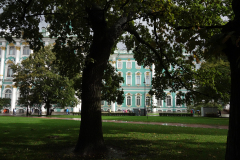DSC02604