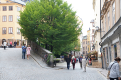 Stockholm Old Town 06 - DSC03176