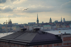 Stockholm City View From Afar  - DSC03561