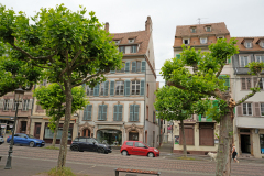 DSC1554
