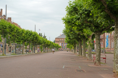 DSC1563