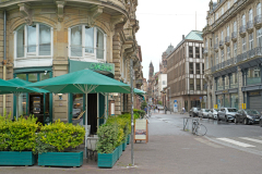 DSC1565