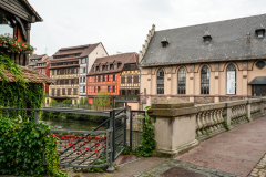 DSC1647