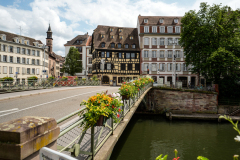 DSC1779