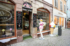 DSC1866