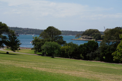 DSC00780