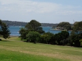 DSC00780