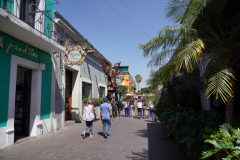 DSC02936