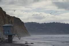 DSC02385fs