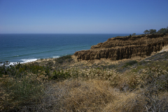 DSC05559fs