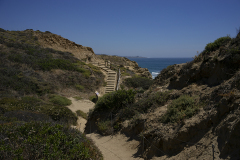 DSC05568fs