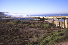 TorreyPinesBeachandCoastersmall