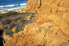 TorreyPinesCliffssmall