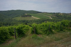 DSC02671