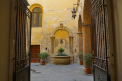 DSC02988