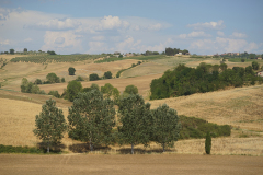 DSC03035
