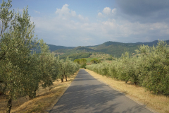 DSC03279