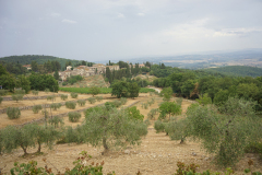 DSC03353