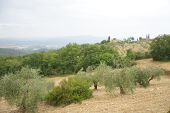 DSC03358