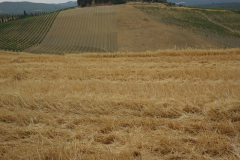 DSC03364