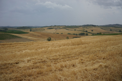 DSC03365