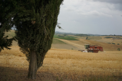 DSC03368