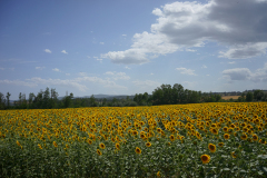 DSC03477