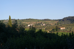 DSC03514