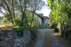 DSC03543