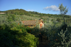 DSC03546
