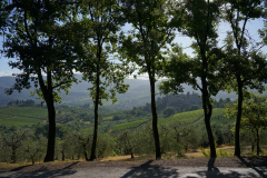 DSC03558