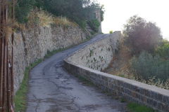 DSC03570