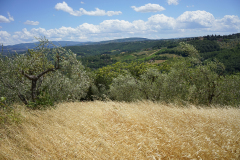 DSC03714