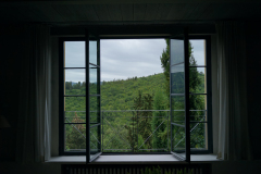 DSC03924