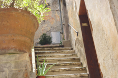 DSC03988
