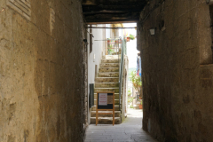 DSC03991
