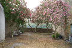 DSC04027