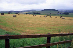 Bales Of Hay In WaLes