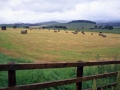 Bales Of Hay In WaLes