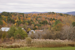 DSC09755