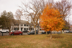 DSC09865