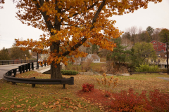 DSC09879