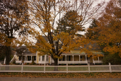 DSC09888