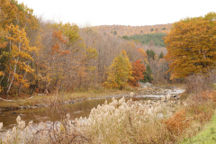DSC09900