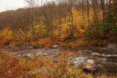 DSC09943