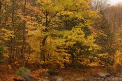 DSC09947