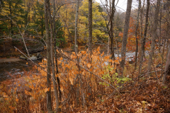 DSC09948
