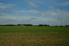 DSC04994