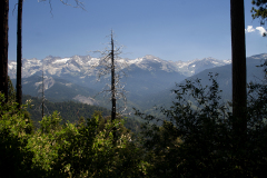 Sierra Nevada Mtns Sequoia National Park