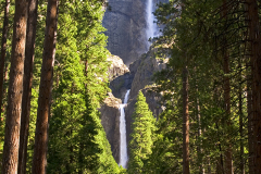 Yosemite Falls PICT8582